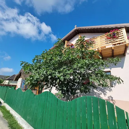 Casa Moreana Bed & Breakfast Sfantu Gheorghe (Tulcea)