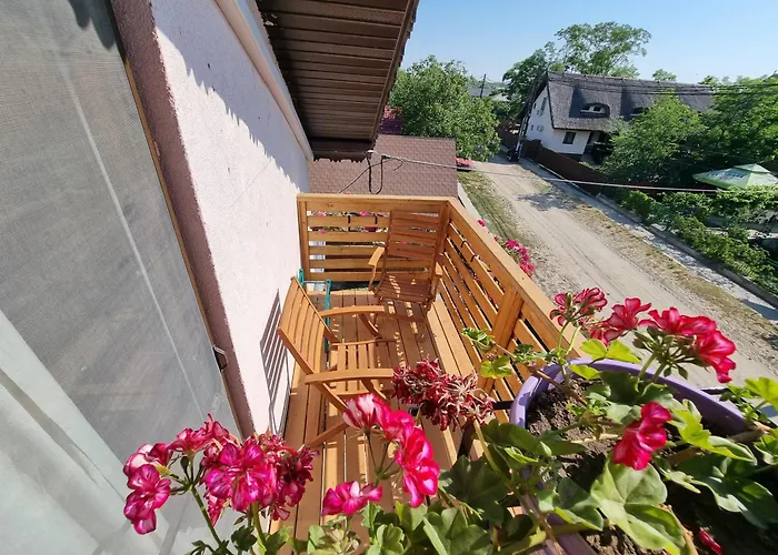 Casa Moreana 3* Sfantu Gheorghe (Tulcea)