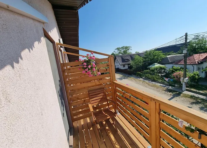 Casa Moreana 3* Sfantu Gheorghe (Tulcea)